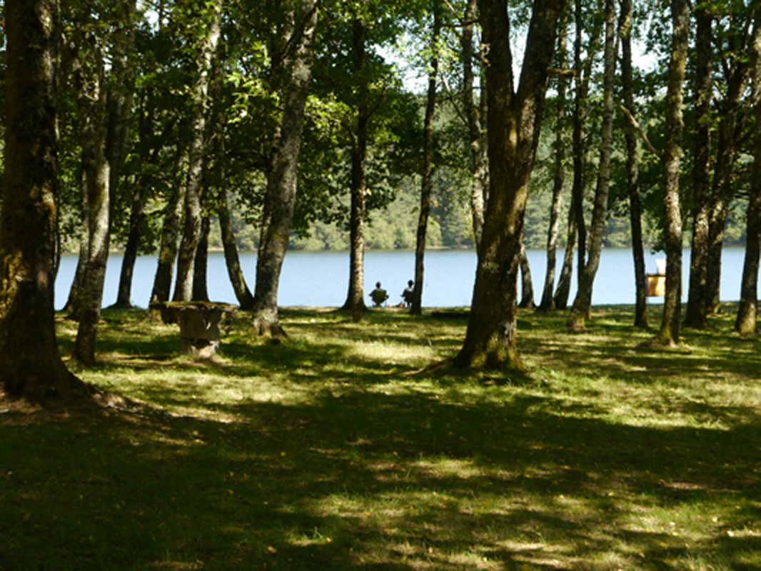 Lac de Marcillac-la-Croisille